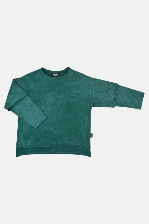 Bluzka VINTAGE GREEN SKATE LONGSLEEVE