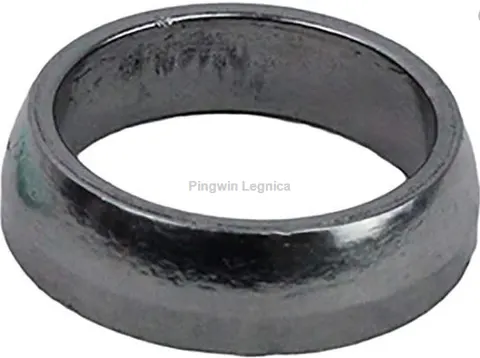 Uszzcelka wydechu Polaris 800-1000 gasket 3610204
