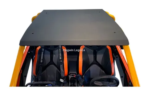 Dach Polaris RZR Pro HDPE