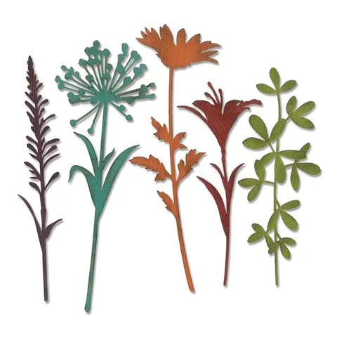 Zestaw wykrojników Thinlits Wildflower Stems #2 5 sztuk Sizzix