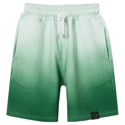 Szorty POCKET SHORTS green ombre