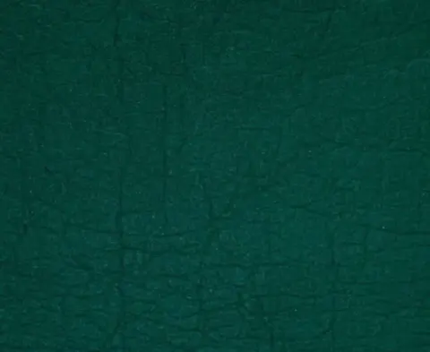 Piñatex® ORIGINAL, Amazon Green