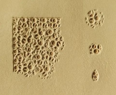 Stempel SN nr 591