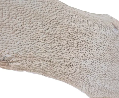 Skóra zębacza Naya® Raw, Linen