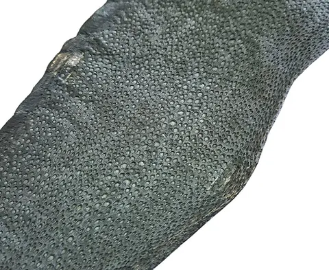 Skóra zębacza Naya® Raw, Ash