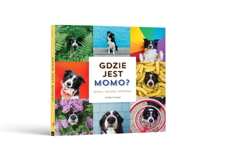 Książka dla dzieci Gdzie jest Momo? 0 m+ Api Papi