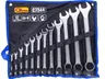 RICHMANN KLUCZE PŁASKO-OCZKOWE 6-32MM 12SZT. C7344