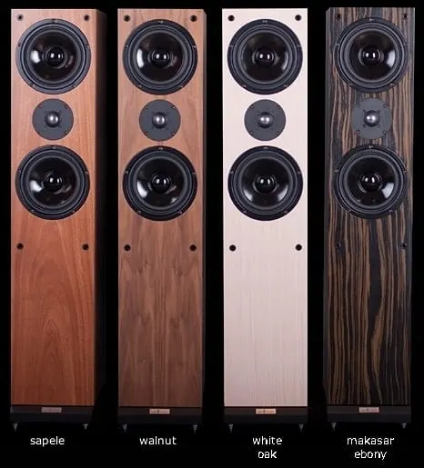 Audio Academy Hyperion IV (Makasar ebony)