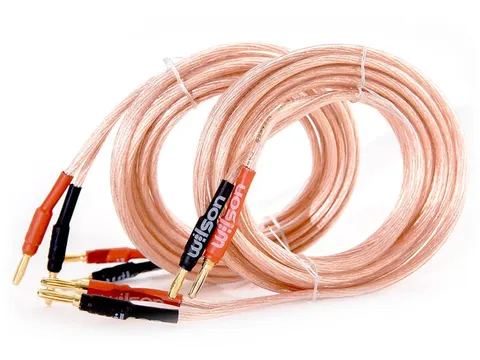 Wilson SPK CABLE 4.0MM (2x3m)