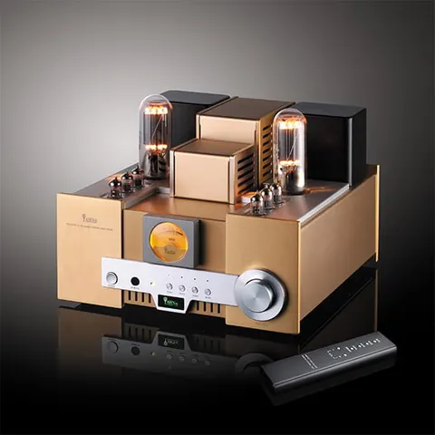 Yaqin MS-650B