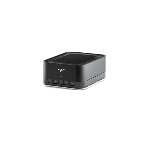 Paradigm PW AMP