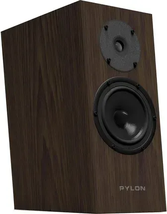 Pylon Audio Diamond Monitor 15