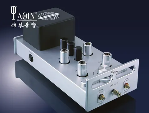 Yaqin MS-12B