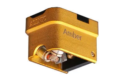 ALLNIC-Audio Amber MC