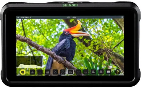Monitor podglądowy Atomos Shinobi 5"