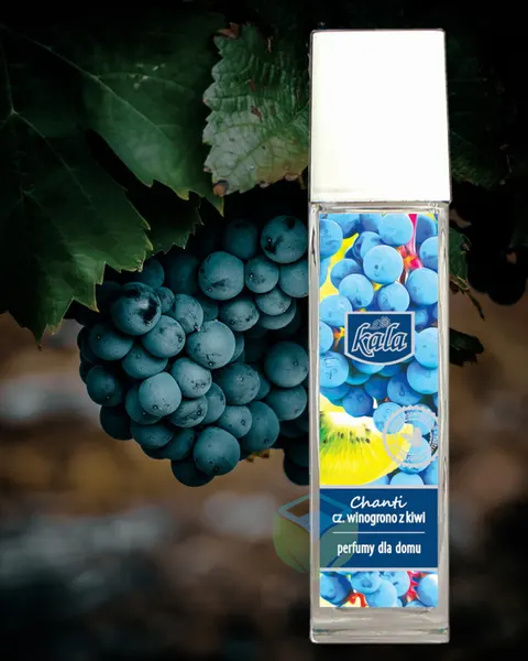 KALA Chanti olejek zapachowy 100ml winogrono i kiwi