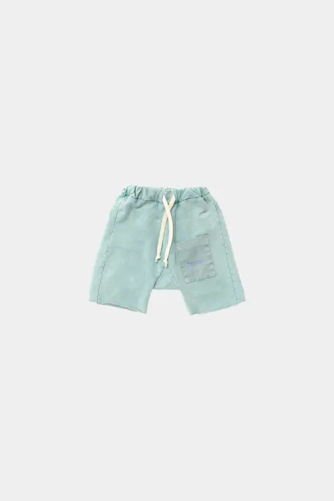 Szorty 228 POCKET MINT SHORTS booso