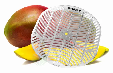 V-SCREEN WKŁAD DO PISUARÓW CITRUS MANGO 4 sztuki