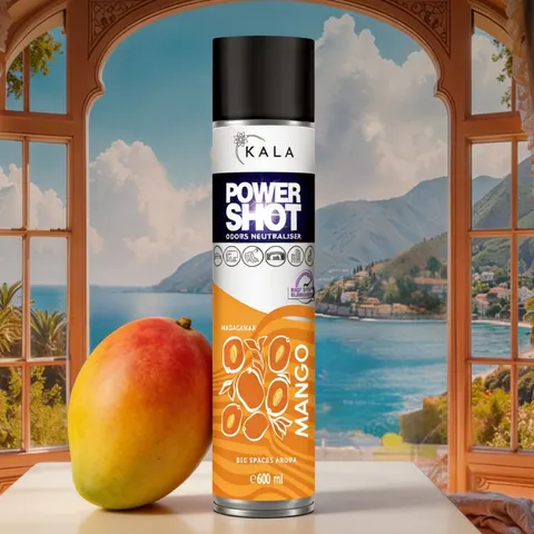 Power Shot MADAGASKAR MANGO 600ml