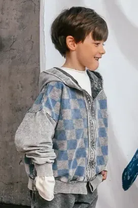 Bluza 119 ZIP CHECKED HOODIE light gray/blue booso