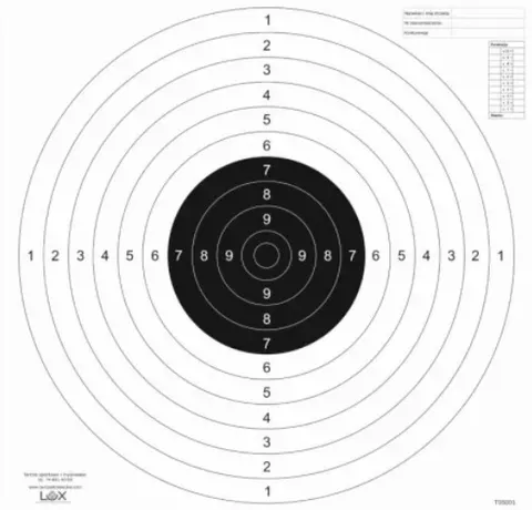 TARCZA - Pistolet sportowy T05001