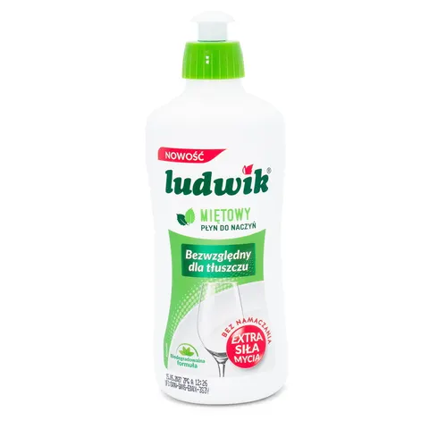 Ludwik do mycia naczyń 500 ml /450g mięta