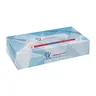415938 PAPERNET 2-warstwowe chusteczki higieniczne 100 sztuk