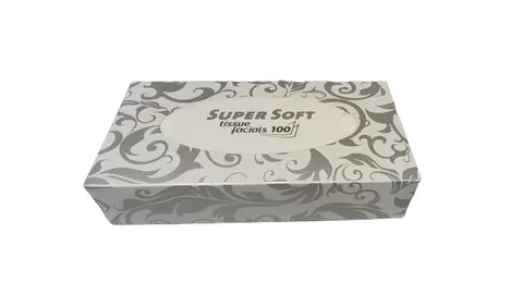 Chusteczki higieniczne WEPA Super soft 100szt 2W