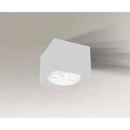 Shilo YATOMI (white)7133