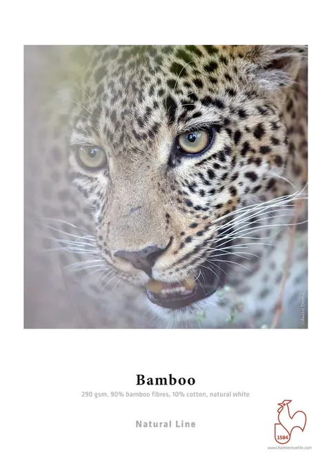 Papier HAHNEMUHLE Bamboo 290 g/m2 - A2, 25 arkuszy