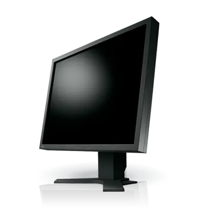 Monitor EIZO S2133 - czarny