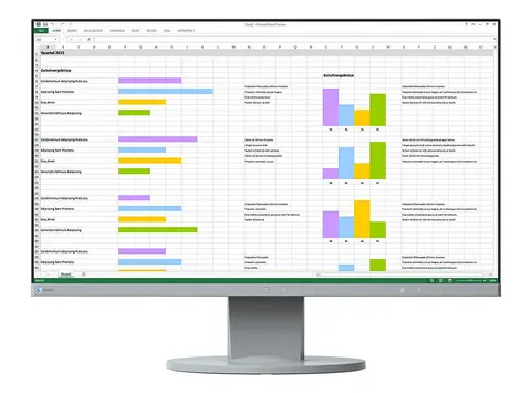 Monitor EIZO FlexScan EV2450 - szary