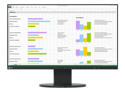 Monitor EIZO FlexScan EV2450 - czarny