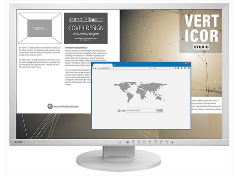 Monitor EIZO FlexScan EV2430 - szary
