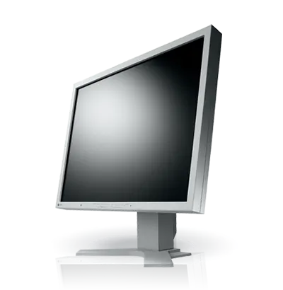 Monitor EIZO S2133 - szary