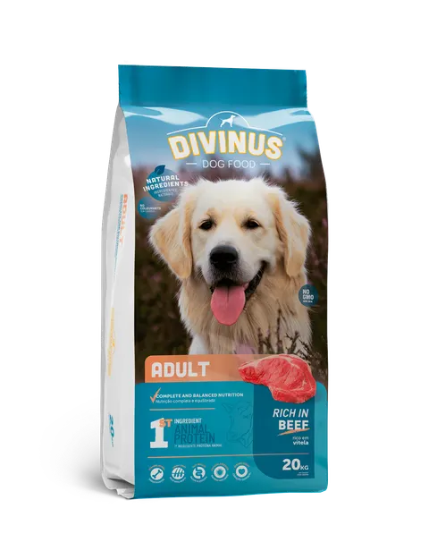 Divinus Adult dla psów dorosłych 20kg