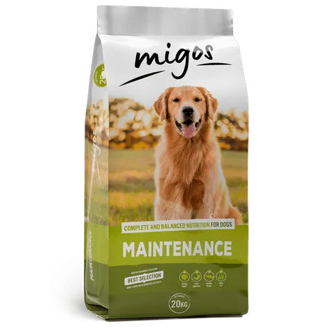 Migos Maintenance 20kg