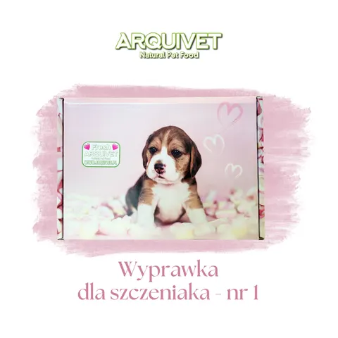 Arquivet - Wyprawka dla Szczeniaka #1