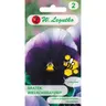 Bratek Szwajcarski Lord Beaconsfield fioletowy 0,5g LEGUTKO