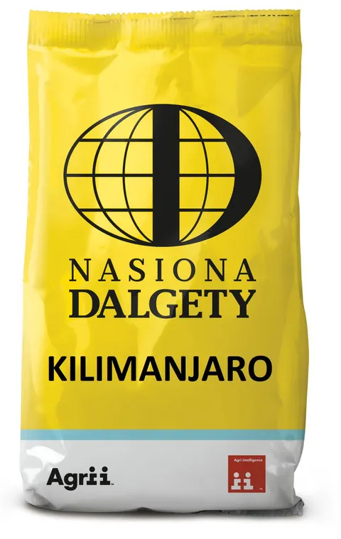 Pszenica ozima RTG Kilimanjaro C1 opak. 25kg DALGETY zaprawa Premis Plus, Sepiret Red, Starfos
