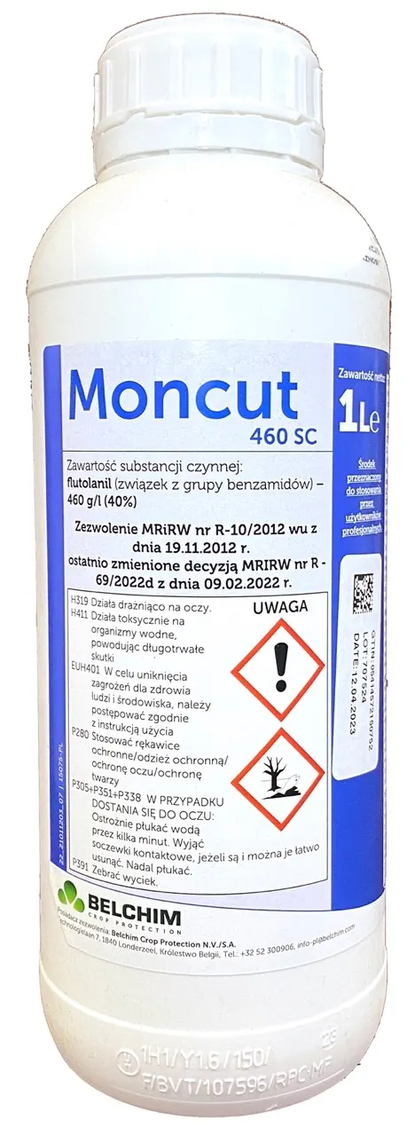 Moncut 460SC 1L BELCHIM flutolanil, zaprawa do ziemniaka, chroni przed rizoktoniozą, zdrowotność ziemniaka