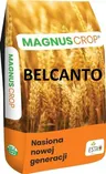 Pszenżyto ozime Belcanto C1 opak. 25kg 500kg KLC ESTA zaprawa Proseed 050FS, Primseed Multi B+