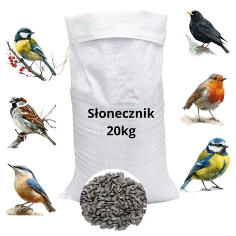 Słonecznik paszowy