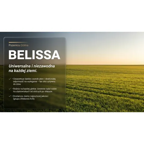 Pszenica ozima Belissa C1 opak. 25kg KLC ESTA zaprawa Proseed 050FS, Primseed Multi B+
