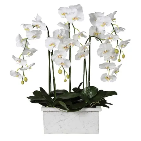 Storczyk White Marble 100 cm marmurowa biała doniczka białe kwiaty orchidea