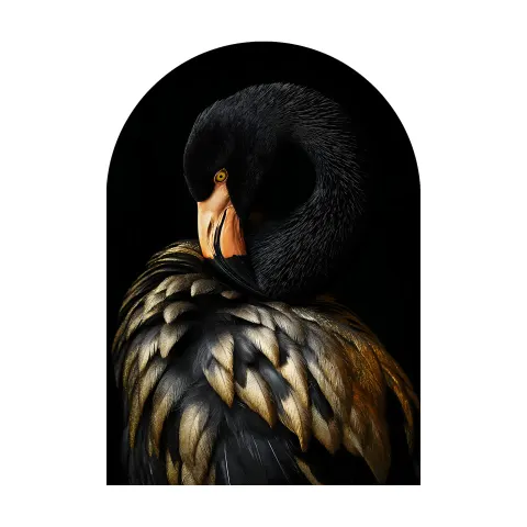 Obraz na szkle Black Flamingo 70x100 cm glasspik