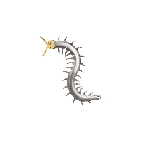 Pin skolopendra z kolekcji Plantis
