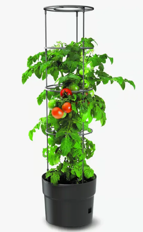 Prosperplast - TOMATO GROWER - doniczka antracytowa na pomidory 28 L