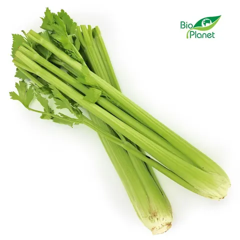 Seler Naciowy Świeży BIO (około 0,30kg) - Bio Planet