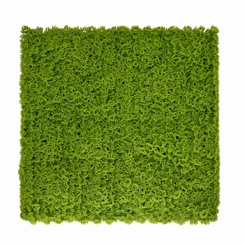 PANEL ZIELENI MECH 50X50 CM OGRÓD WERTYKALNY